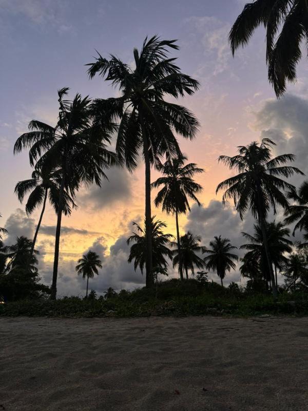 Pousada Caribe Milagrense São Miguel dos Milagres エクステリア 写真